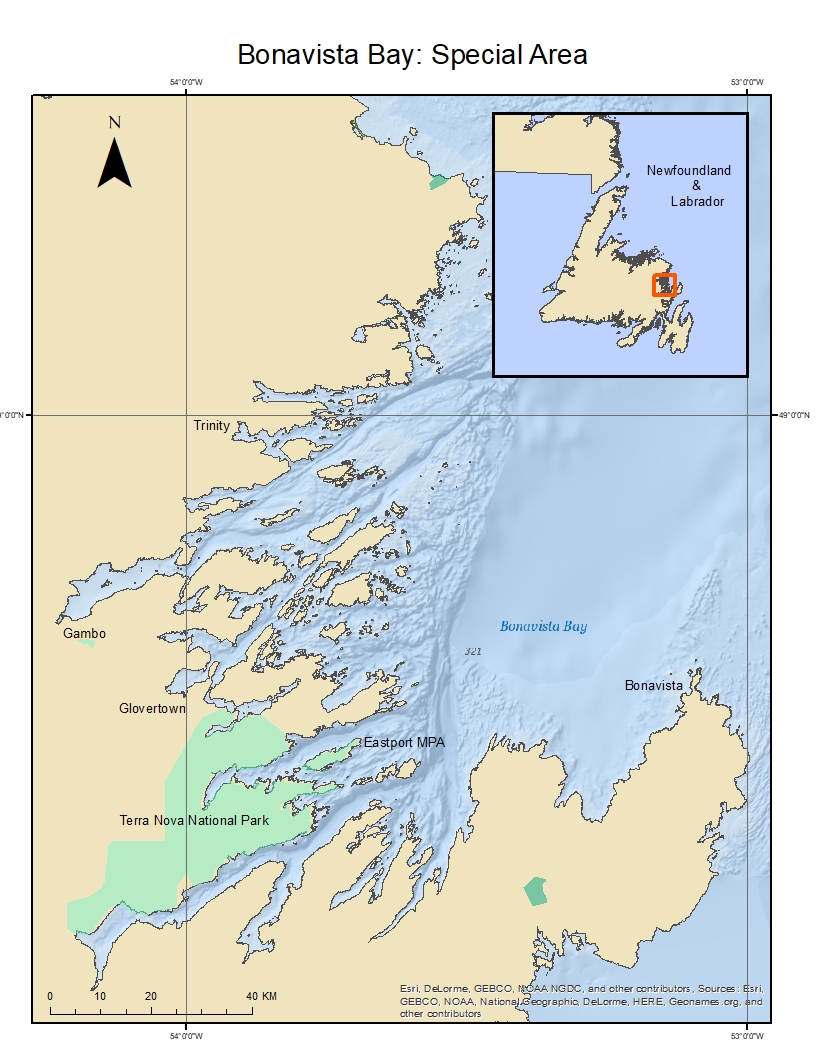 Special Marine Areas – Cpaws Newfoundland Labrador