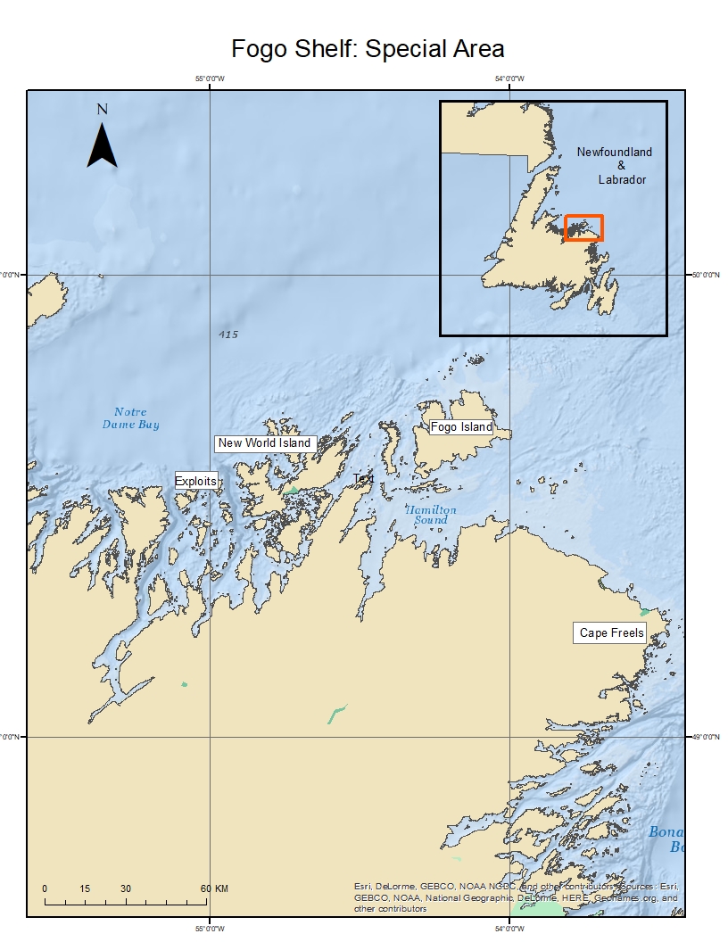 Special Marine Areas – CPAWS Newfoundland Labrador