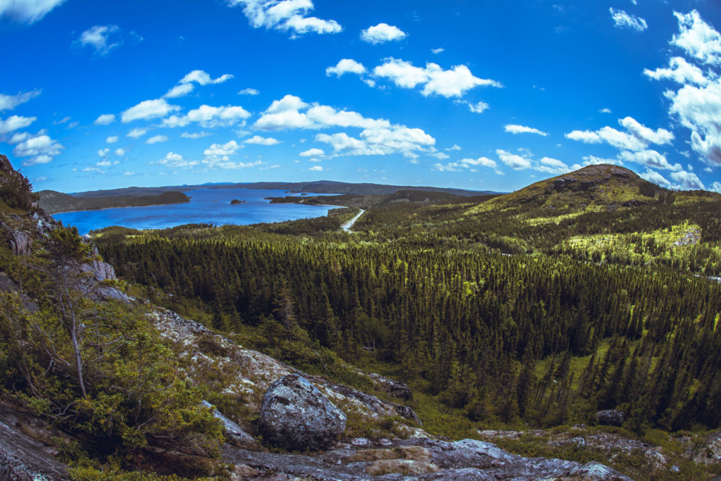 Parc national Terra-Nova — Wikipédia