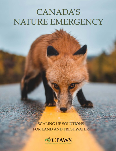 Parks and Terrestrial Protection Report 2019