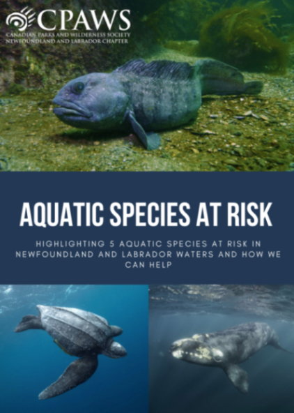 Aquatic Species at Risk Guide 2021