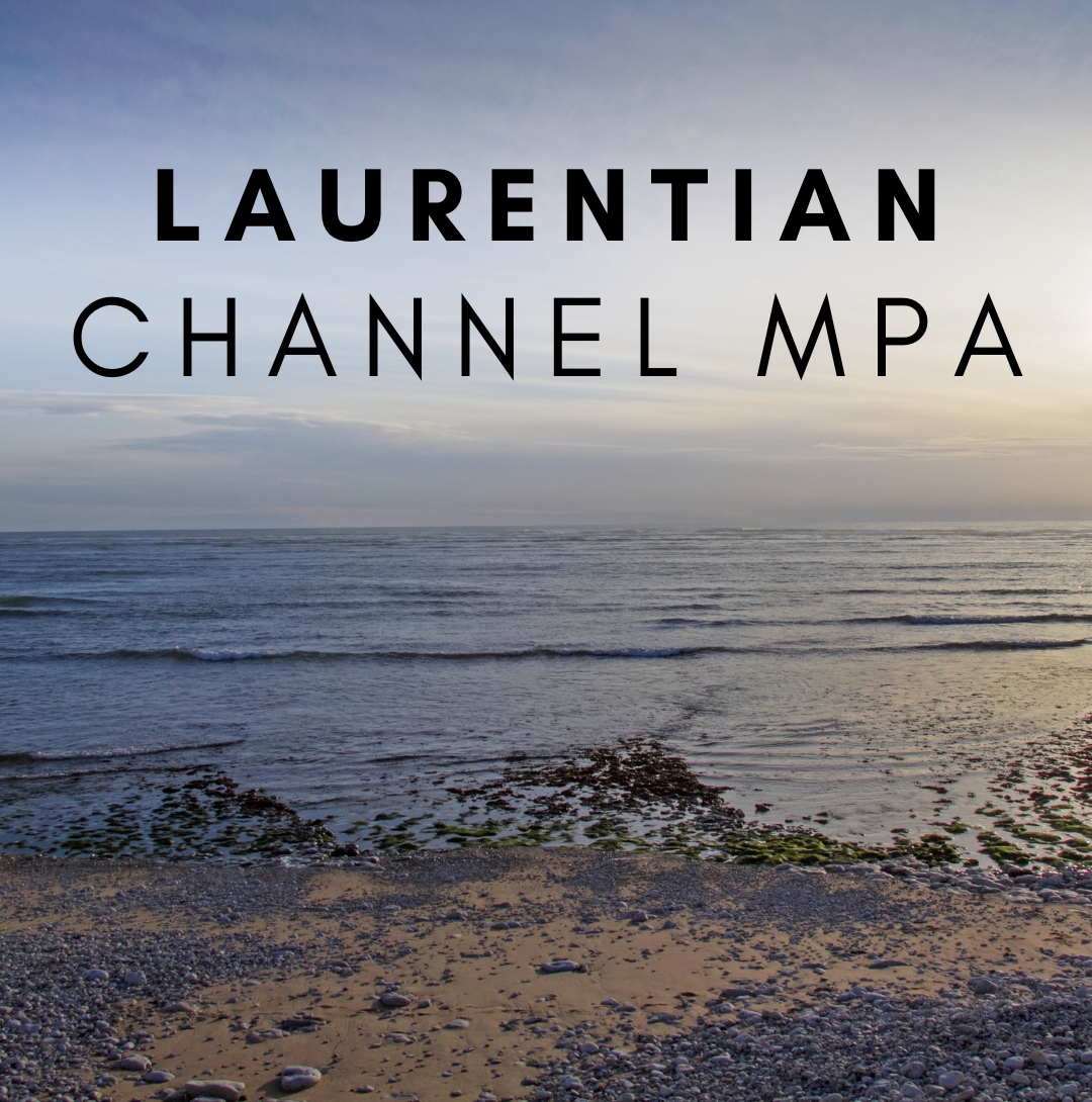 Laurentian Channel MPA Button