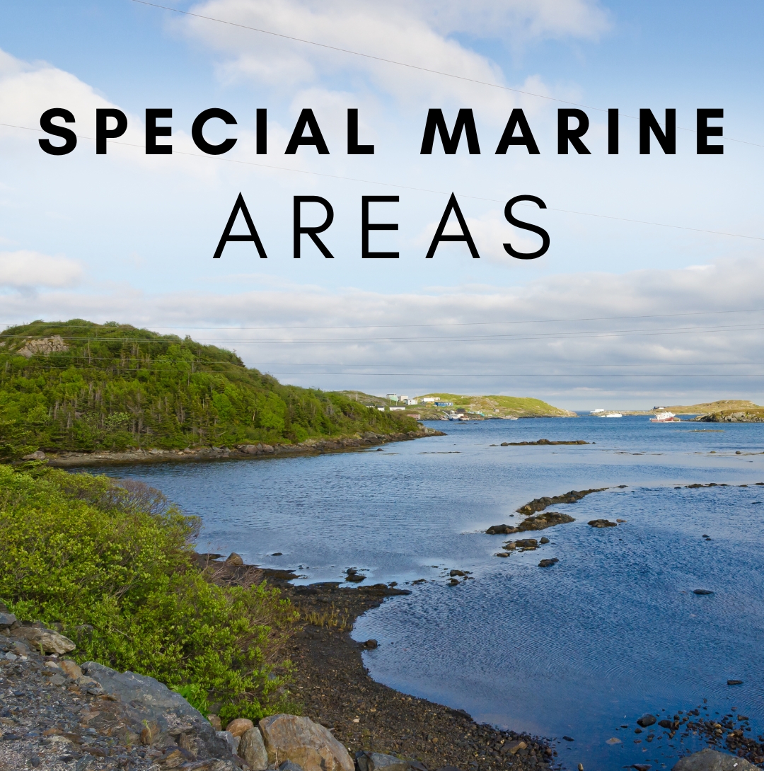 Special Marine Areas Button
