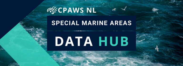 CPAWS NL Special Marine Areas Data Hub: A Comprehensive Source of Data and Information on Newfoundland and Labrador’s Coastal and Marine Ecosystems