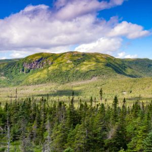National Park Gros Morne Newfoundland Gros Morne National Park is a world heritage site located on the west coast of Newfoundland. At 1,805 km2 (697 sq mi), it is the second largest national park in Atlantic Canada; it is surpassed by Torngat Mountains National Park, which is 9,700 km2 (3,700 sq mi).
https://en.wikipedia.org/wiki/Gros_Morne_National_Park