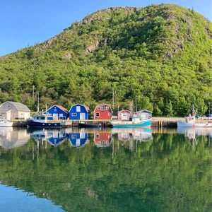 Our Work - Marine Conservation in Southern NL