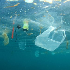 Our Work - Marine Waste Management