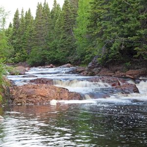 Our Work - Photo Stations